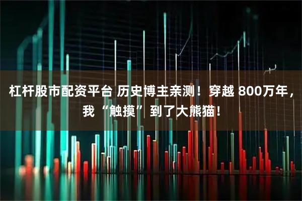 杠杆股市配资平台 历史博主亲测!穿越 800万年,我 “触摸” 到了大熊猫!